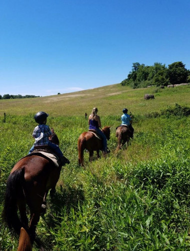 Screen Shot 2019-04-03 at 11.17.53 AM.png